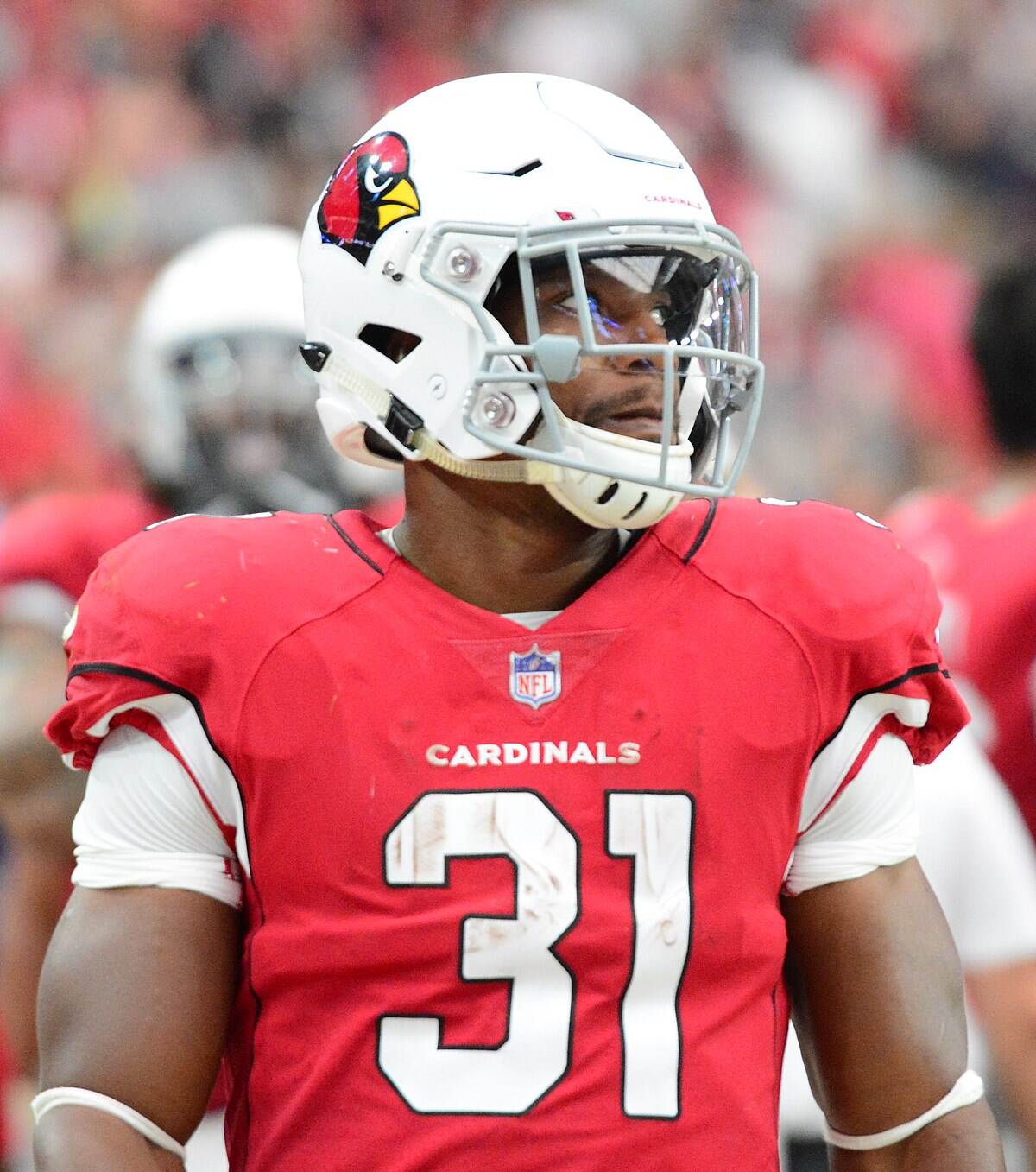 David Johnson Biography: Age, Wife, NFL, Team, Siblings, Children ...